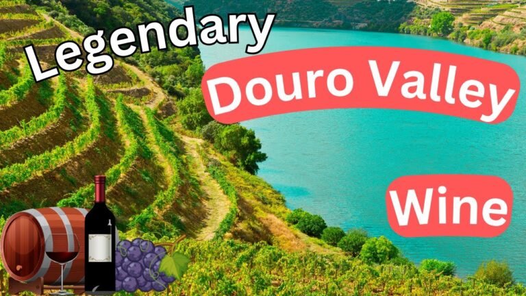 BEST Douro Valley Wine Tour!