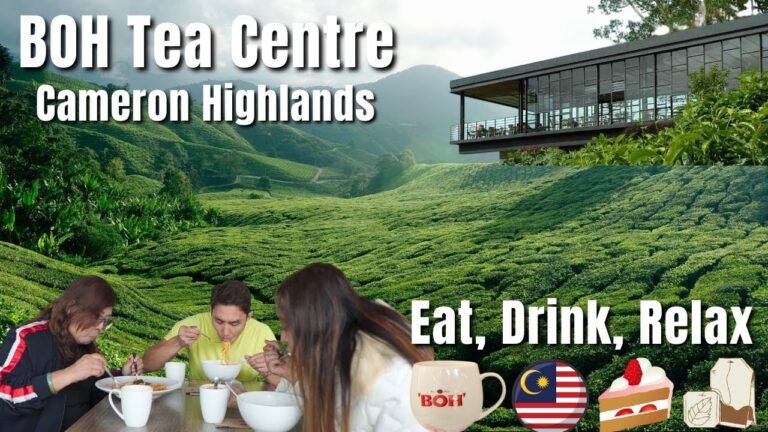 Full Guide Boh Tea Centre Cameron Highlands