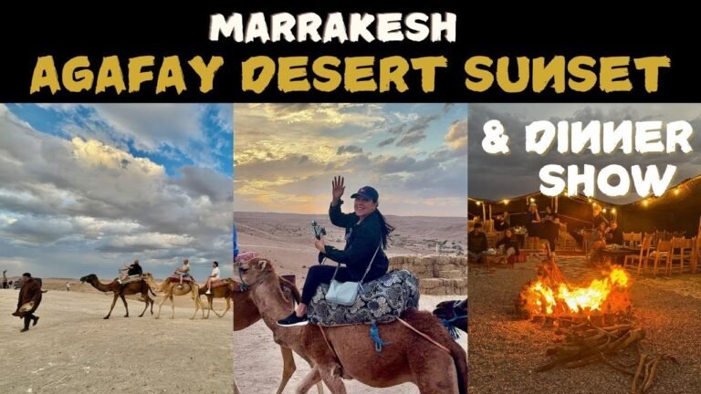 The Best Tour with camel ride and dinner show in Marrakesh