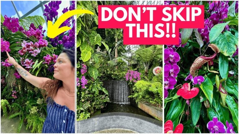 Inside Singapore’s INCREDIBLE Gardens by the Bay!