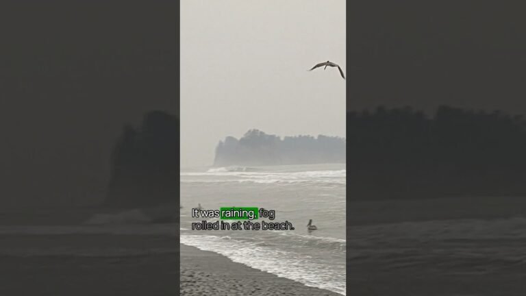 Tip No. 9 for Visiting Olympic National Park #OlympicNationalPark  #TravelTips #USNationalParks