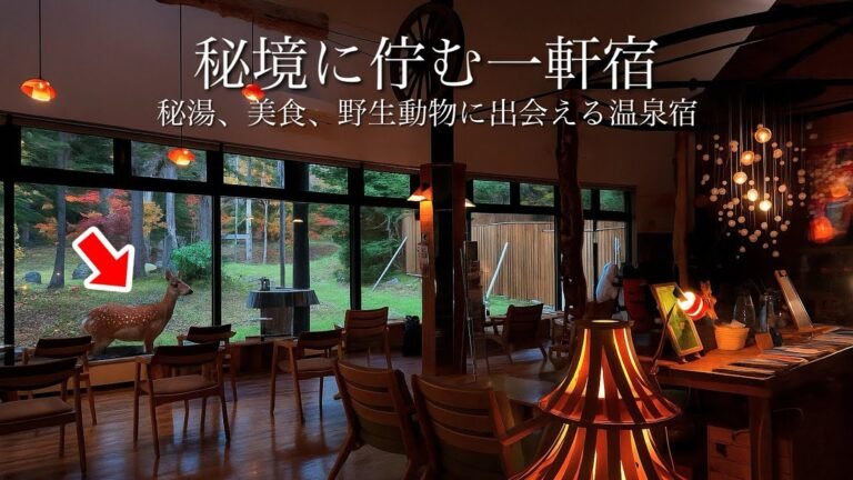 【秘境の一軒宿】秘湯と美食、野生動物に出会える大人の隠れ家 / 北海道観光スポット阿寒湖と奥屈斜路湖温泉ランプの宿森つべつ