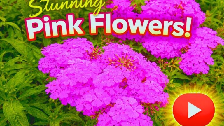 Beautiful natural flowers gardens ​#nature​#flowers​#nature​#flower​#ytshort​ #youtube