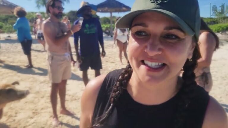 Swimming With the Pigs in The Bahamas: Amazing or Overrated?