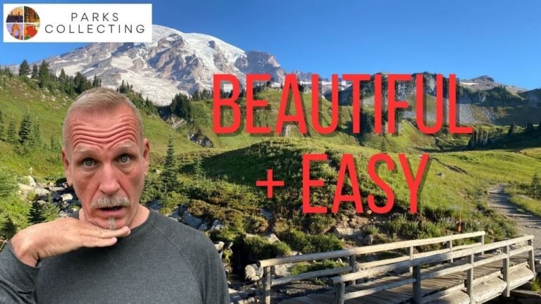 If Long Hikes Aren’t Your Thing in Mount Rainier, Watch This
