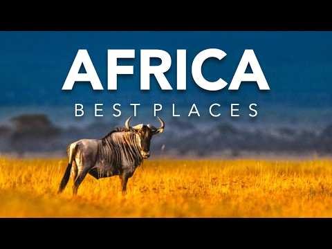 Best Places to Visit Animals Living in the African Savanna | Travel Guide Video