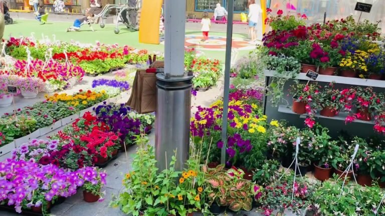 ফিনল্যান্ডের ফুলের দোকান Flower shop in Finland