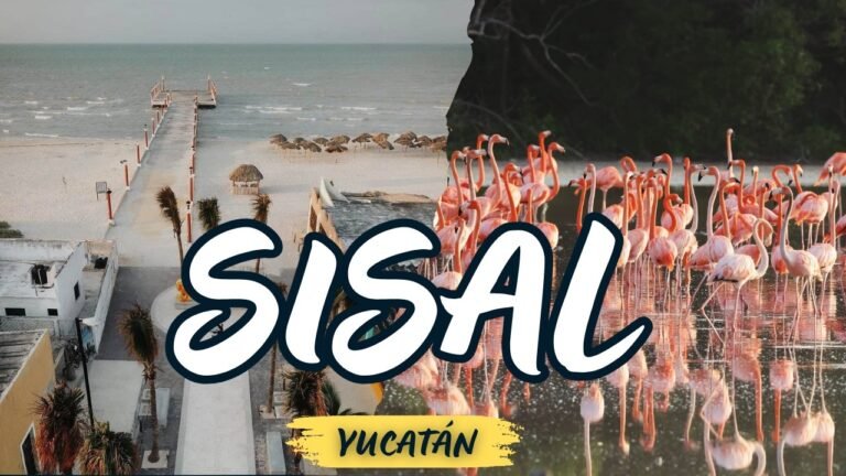 Historia, playas, manglares, flamencos y más |  SISAL, Yucatán